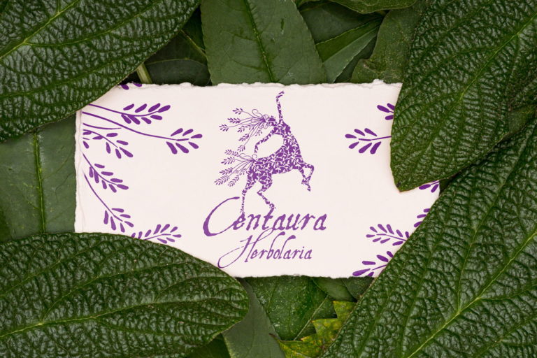 Lee más sobre el artículo Centaura Herbolaria