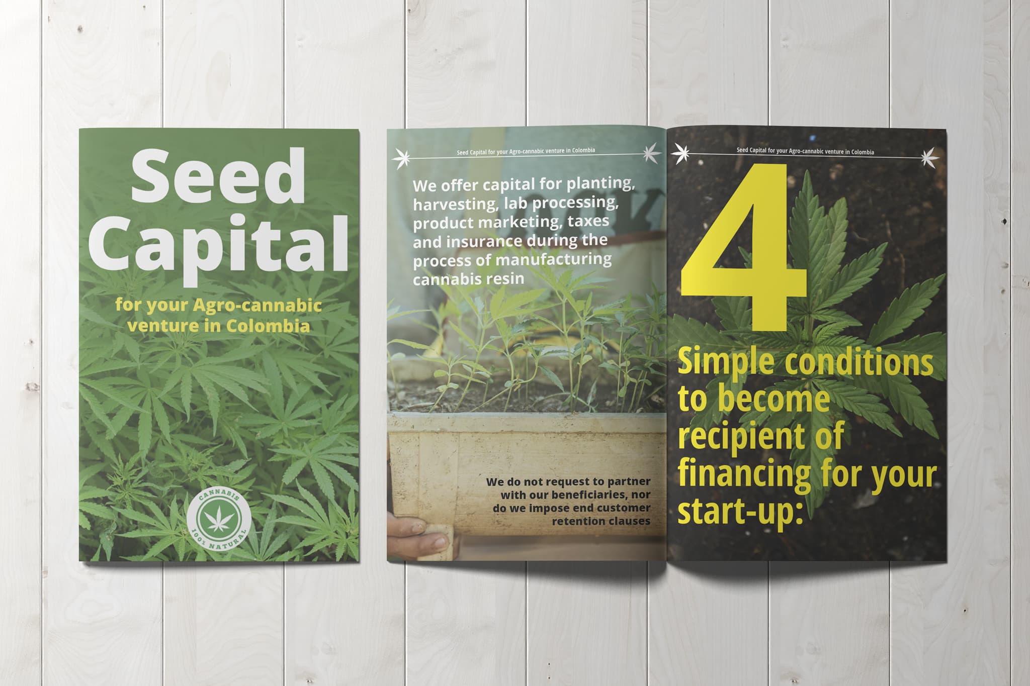 brochure seedcannabis - Inicio